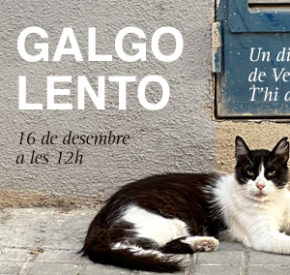 Galgo Lento a laBastida